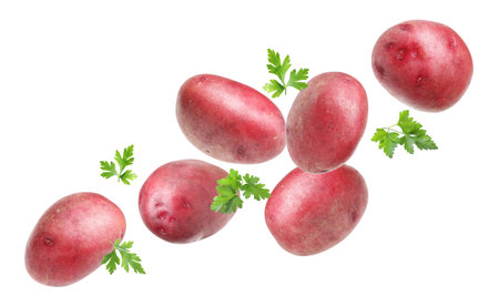 Fresh red potatoes with parsley flying on white backgroundの写真素材