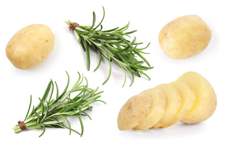 Fresh raw potatoes and rosemary isolated on white, collageの写真素材
