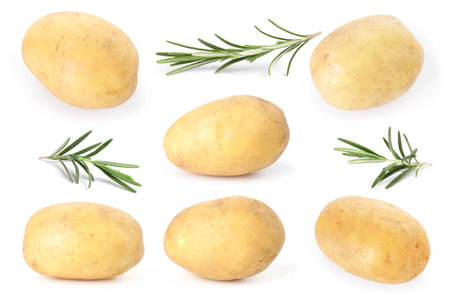 Fresh raw potatoes and rosemary isolated on white, collageの写真素材
