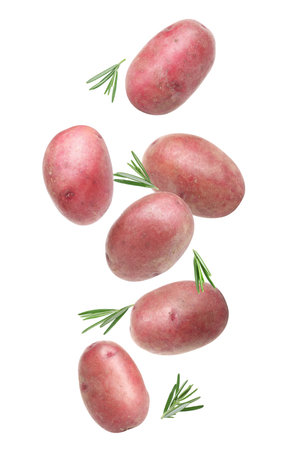 Fresh red potatoes with rosemary falling on white backgroundの写真素材