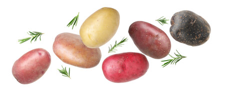 Different types of fresh potatoes with rosemary flying on white backgroundの写真素材