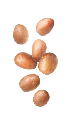 Fresh raw potatoes falling on white backgroundの写真素材