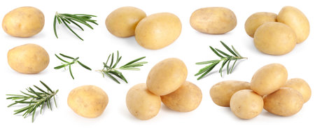 Fresh raw potatoes and rosemary isolated on white, collageの写真素材