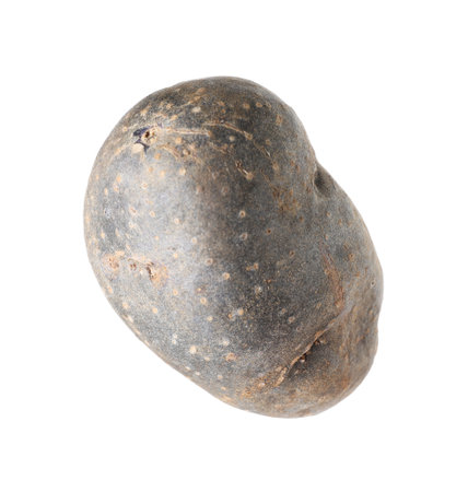 One whole purple potato isolated on whiteの写真素材