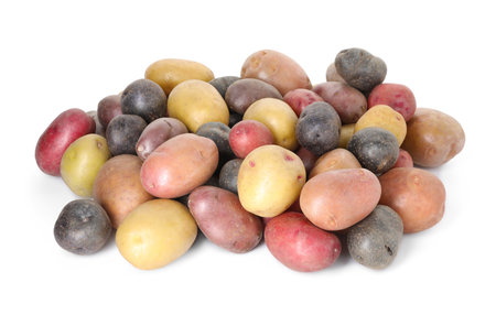 Different types of potatoes isolated on whiteの写真素材