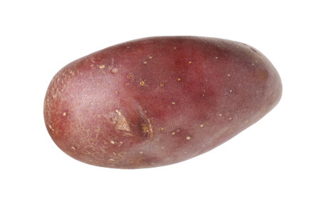 One whole red potato isolated on whiteの写真素材