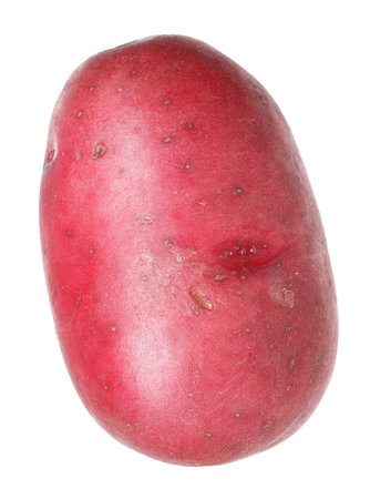 One whole red potato isolated on whiteの写真素材