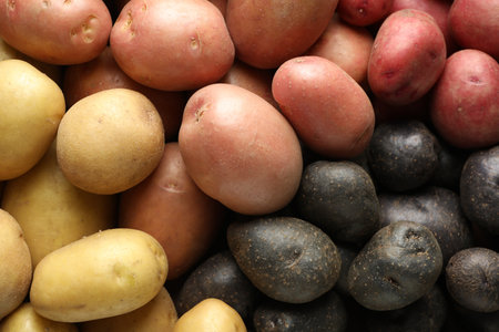 Different types of potatoes as background, top viewの写真素材