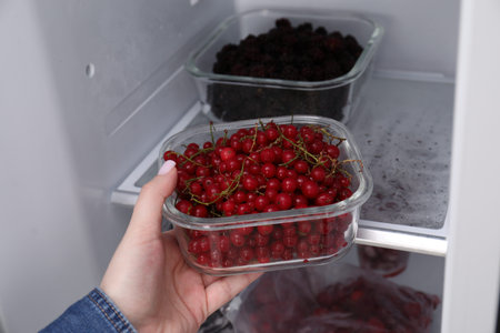 Freezing berries. Woman putting container with red currants into open fridge, closeupの写真素材