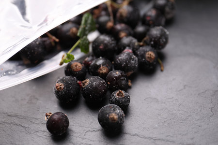 Ripe frozen black currants and open plastic bag on grey textured table, closeupの写真素材