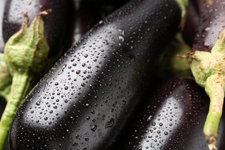 Many raw ripe eggplants with water drops as background, closeupの写真素材