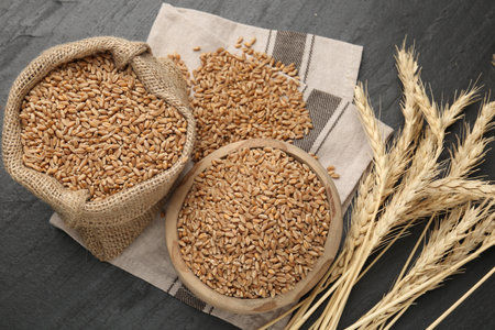 Wheat grains in bowl, burlap bag and spikes on black table, flat layの写真素材