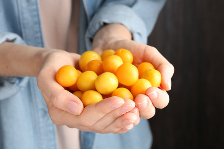 Woman holding heap of ripe yellow plums indoors, closeupの写真素材