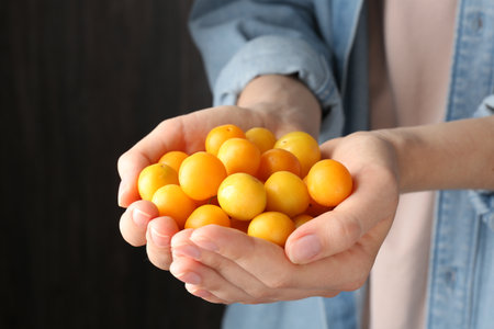 Woman holding heap of ripe yellow cherry plums indoors, closeupの写真素材