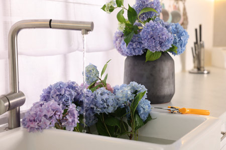 Bouquets of beautiful blue hortensia flowers in kitchen, closeup