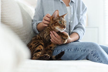Woman with cute Bengal cat on sofa at home, closeup. Adorable petの写真素材