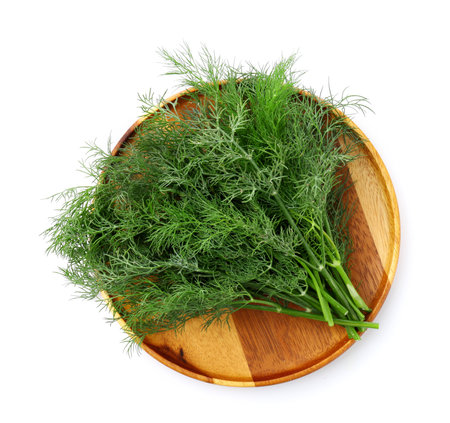 Plate with bunch of fresh dill isolated on white, top viewの写真素材