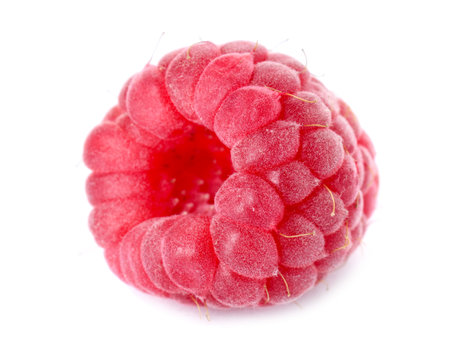 One fresh tasty raspberry isolated on white