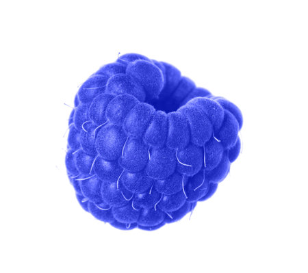 One fresh blue raspberry isolated on white