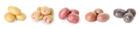 Different types of raw potatoes isolated on white, setの写真素材
