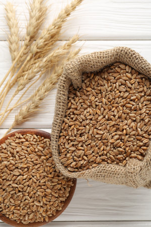 Wheat grains in bowl, burlap bag and spikelets on white wooden table, flat layの写真素材
