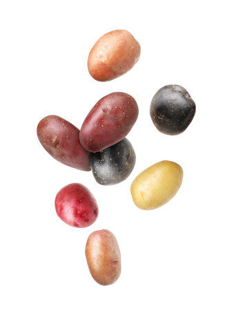 Different types of fresh potatoes falling on white backgroundの写真素材