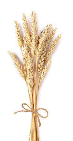 Bunch of dried wheat ears isolated on white, top viewの写真素材