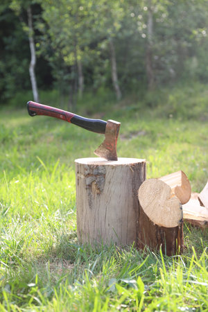 Metal ax, chopped firewood and wooden log on green grass outdoors