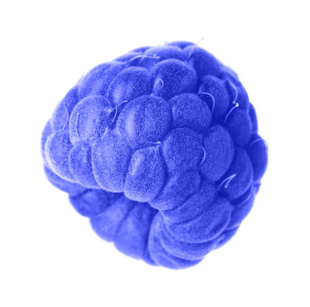 One fresh blue raspberry isolated on whiteの写真素材