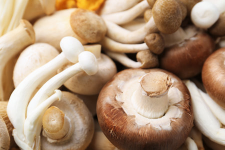 Different raw mushrooms as background, closeup viewの写真素材