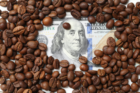 Frame of roasted coffee beans and dollar banknotes on white table, flat layの写真素材