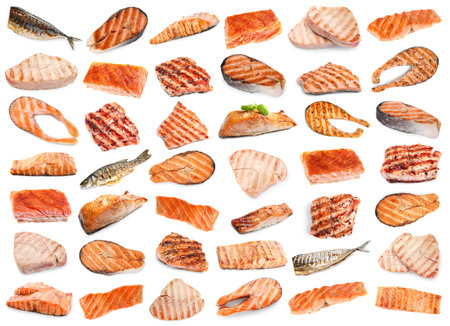 Different types of grilled fish on white background, collageの写真素材