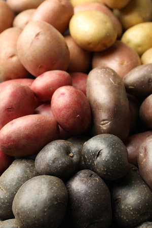 Different types of potatoes as background, closeupの写真素材