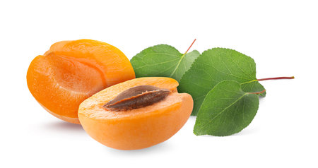 Fresh juicy apricots and green leaves isolated on whiteの写真素材
