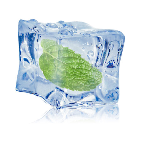 Fresh mint leaf inside clear ice cube on white backgroundの写真素材