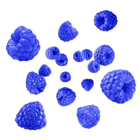 Blue raspberries flying on white background