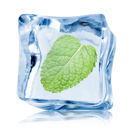 Fresh mint leaf inside clear ice cube on white backgroundの写真素材