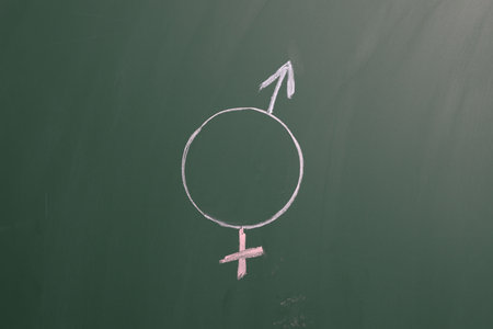 Sex education. Gender symbol drawn on green chalkboardの写真素材