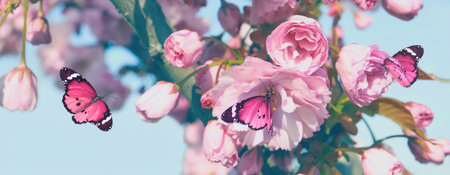Blossoming spring tree with pink flowers and beautiful butterflies outdoors. Banner designの写真素材