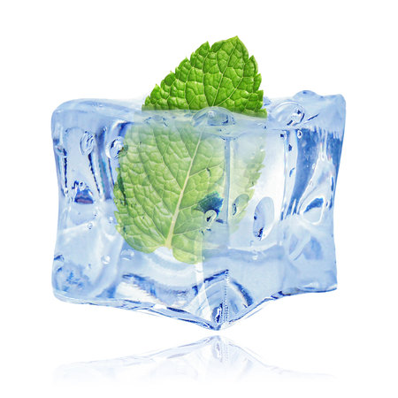 Fresh mint leaf inside clear ice cube on white backgroundの写真素材