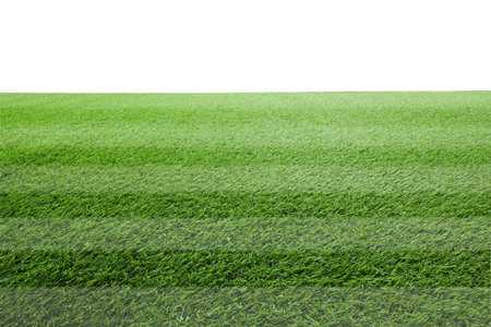 Fresh green lawn with stripes against white background