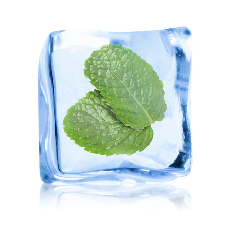 Fresh mint leaves inside clear ice cube on white backgroundの写真素材