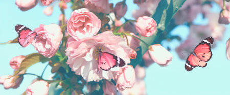 Blossoming spring tree with pink flowers and beautiful butterflies outdoors. Banner design