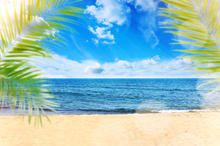 Green palm leaves on tropical beach. Ocean waves rolling on sandの写真素材