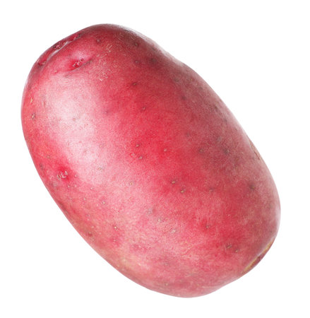 One whole red potato isolated on whiteの写真素材