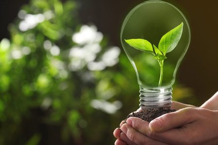Electricity and nature. Woman holding soil with green plant inside light bulb against blurred background, closeupの写真素材