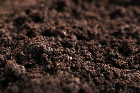 Fresh soil as background, closeup. Organic matterの写真素材