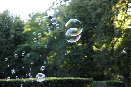 Beautiful transparent soap bubbles floating in park