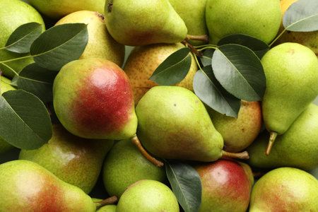 Many whole ripe pears as background, closeup