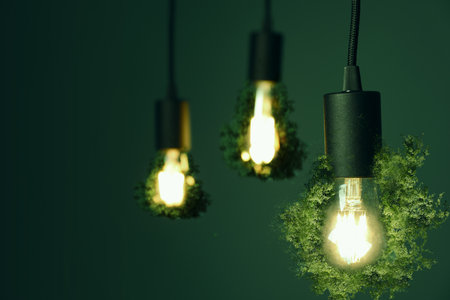 Electricity and nature. Light bulbs with greenery hanging against dark green backgroundの写真素材